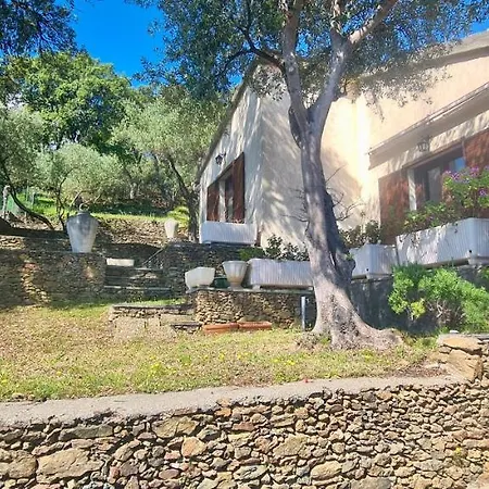 Villa Miomo Pour 6 A 8 Personnes Avec Vue Mer-2